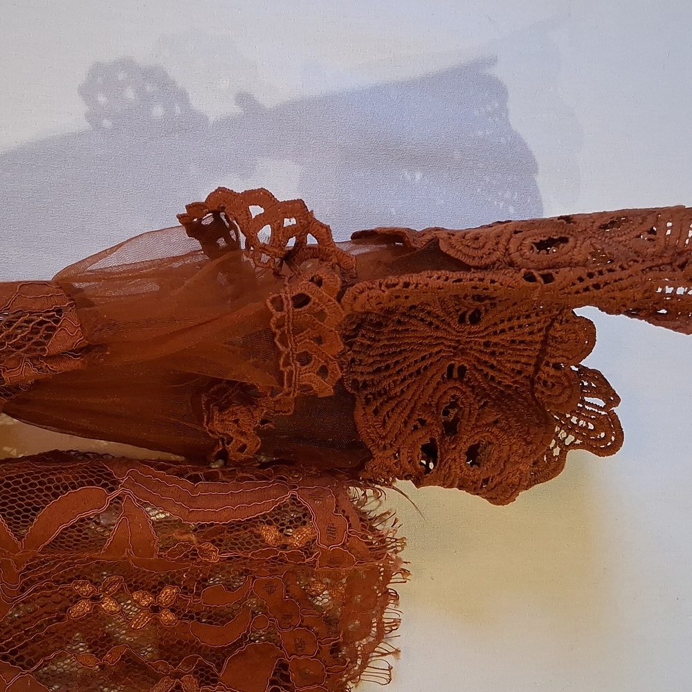 ViVI Rust Lace Blouse - Picture 2 of 6